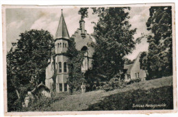 AK Schloss Herzogswalde (pk20763) - Herzogswalde