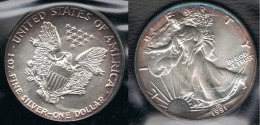 EE.UU.  USA  OUNCE DOLLAR 1991 PLATA SILVER..B9 - Sin Clasificación