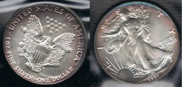 EE.UU.  USA  OUNCE DOLLAR 1991 PLATA SILVER..B9 - Non Classificati