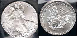 EE.UU.  USA  OUNCE DOLLAR 2002 PLATA SILVER..B11 - Unclassified