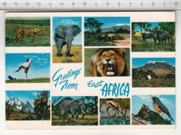 Greetings From East Africa - Tanzania