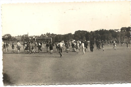 44 GORGES PAR  CLISSON   CITE DE PLEIN AIR  D  ANGREVIERS     LE  STADE - Gorges