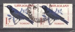 URUGUAY, Paire Oiseau / Bird  / Pajaro TORDO , Obl TB - Hummingbirds