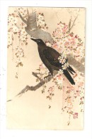 CPA Fantaisie  : Oiseaux : Illustration : Oiseau Noir Dans Un Arbre Fleuri ( Signé ...mais Peu Lisible ) - Oiseaux