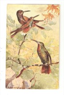 CPA Fantaisie : Oiseaux : Illustration :3  Oiseaux Dans Arbre  ( Signé ...Schmit - à Confirmer  ) - Oiseaux