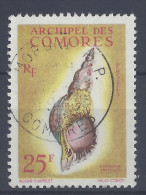 COMORES - 1962 - N° 24 - OBLITERE - TB - - Gebruikt