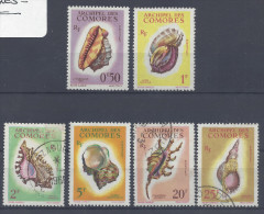 COMORES - 1962 -  " COQUILLAGES "  SERIE N° 19 à 24 - OBLITERES & NEUFS - B/TB - - Usati