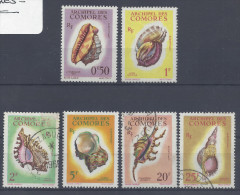 COMORES - 1962 -  " COQUILLAGES "  SERIE N° 19 à 24 - OBLITERES & NEUFS - B/TB - - Oblitérés