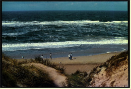 Dünen Mit Meeresbrandung  -  Ansichtskarte  Ca. 1996    (4547) - Wittmund