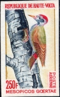 BIRDS-GREY WOODPECKER-IMPERF-UPPER VOLTA-1964-MNH-A5-514 - Climbing Birds