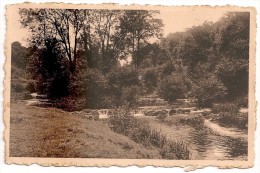 MODAVE Ensemble Des Cascades Du Moulin De Roiseux (1) - Modave