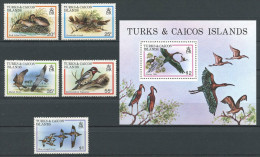 TURKS Et CAIQUES  1980  N° 481/485 Bloc 21  **  Neufs = MNH Superbes  Cote 16 €  Faune Oiseaux Birds Fauna Animaux - Turks E Caicos