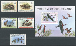 TURKS Et CAIQUES  1980  N° 481/485 Bloc 21  **  Neufs = MNH Superbes  Cote 16 €  Faune Oiseaux Birds Fauna Animaux - Turcas Y Caicos