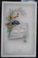 Cp Litho Illustrateur HACO 739 LORE H  HUMMEL Enfant Garcon Lutin Trompette Oiseau Voyagé 80c Luxembourg Grande Duchesse - Hummel
