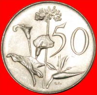* FLOWERS: SOUTH AFRICA  50 CENTS 1966! INTERESTING TYPE WITH Jan Van Riebeeck (1619-1677) AND ENGLISH LEGEND~LOW START - South Africa