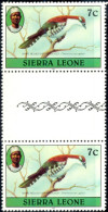 BIRDS-WHITW BELLIED CUCKOO-GUTTER PAIR-SIERRA LEONE-1980-MNH-A5-523 - Cuculi, Turaco