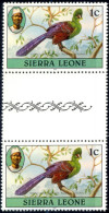 BIRDS-TURACO-GUTTER PAIR-SIERRA LEONE-1980-MNH-A5-523 - Cuco, Cuclillos