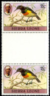 BIRDS-OLIVE BELLIED SUNBIRD-GUTTER PAIR-SIERRA LEONE-1980-MNH-A5-523 - Colibríes