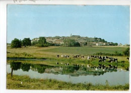 47 - MONFLANQUIN . VUE GÉNÉRALE - Réf. N°9936 - - Monflanquin