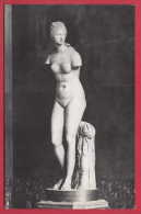 174022 / Saint Petersburg - Hermitage Museum Aphrodite Sculpture NUDE WOMAN Russia Russie Russland Rusland - Sculture