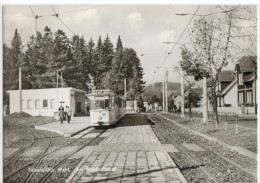 Tabarz (Thür. Wald) - Am Bahnhof Gare Station With Train Zug Trein - Tabarz