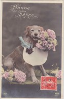 CPA - "Bonne Fête" - Chien Avec Des Fleurs - 1908 - Animales Vestidos