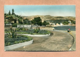 ALGERIE  -  BONE   -  PLAGE DE SAINT CLOUD - Annaba (Bône)