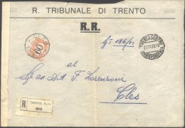 ITALIA - STORIA POSTALE RACCOMANDATA  - SEGNATASSE 60 C BRUNO - R. TRIBUNALE  DI  TRENTO  To Cles - 1925 - Taxe