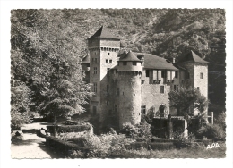 Cp, 48, Château De La Caze - Autres & Non Classés
