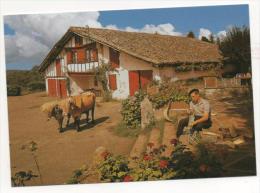 FRANCE -Pays Basque -Ferme Labourdine Et Fabricant De Chistéra. - Lescar