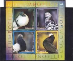 BIRD;PIGEON & COLUMBIFORMES 2005 ** MNH Mint Full Set, Romania. - Pigeons & Columbiformes