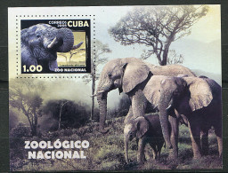 (cl 10 - P35) Cuba** Bloc N° 242 (ref. Michel Au Dos) - Elephants - - Neufs