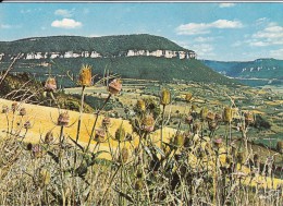 Cp , 12 , MILLAU , Capitale Des Causses , Les Falaises Du Causse Noir - Millau