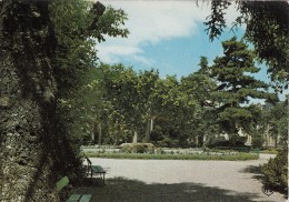 Cp , 12 , MILLAU , Jardins De La Sous-Préfecture - Millau