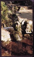 Hot Spring National Park - Thermal Water Display Springs - Not Circulated - Non Circulé - Nicht Gelaufen. - Hot Springs