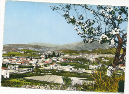 CPSM 84 MALAUCENE JOLIE VUE GENERALE MONT VENTOUX - Malaucene