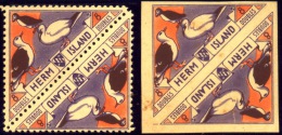 MARINE WEB FOOTED BIRDS-HERM ISLANDS-TETE-BECHE PAIR-PER & IMPERF-HERM ISLANDS-SCARCE-MNH-A5-781 - Albatros & Stormvogels