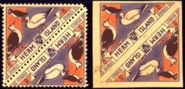MARINE WEB FOOTED BIRDS-HERM ISLANDS-TETE-BECHE PAIR-PER & IMPERF-HERM ISLANDS-SCARCE-MNH-A5-781 - Palmípedos Marinos