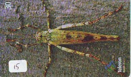 Grasshopper Sauterelle Heuschrecke Sprinkhaan Saltamontes Insect (15) - Sonstige & Ohne Zuordnung