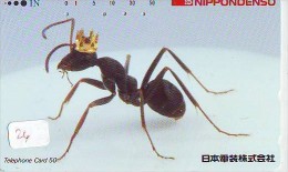 Ant Fourmi Mier Ameise - Insect (26) - Andere & Zonder Classificatie