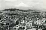 248981-Oregon, Portland, RPPC, City View, Mount Hood, Cross & Dimmitt - Portland