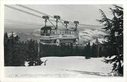 248997-Oregon, Mount Hood, RPPC, Skiway Ski Lift From Upper Terminal, Sawyers Photo No 17-178 - Sonstige & Ohne Zuordnung