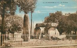 SAINT NAZAIRE LE DOLMEN - Altri & Non Classificati