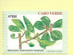 TIMBRES - STAMPS - CAPE VERDE / CAP VERT - 2001 - IPLANTES ENDÉMIQUES - Sidereoxylon Marginata - TIMBRE OBLITÉRÉ - Kaapverdische Eilanden