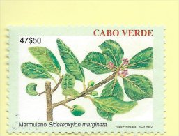 TIMBRES - STAMPS - CAPE VERDE / CAP VERT - 2001 - IPLANTES ENDÉMIQUES - Sidereoxylon Marginata - TIMBRE OBLITÉRÉ - Kap Verde