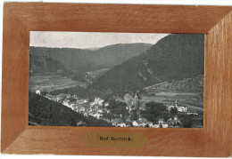 Carte Postale Ancienne D´ALLEMAGNE - BAD BERTRICH - Bad Bertrich