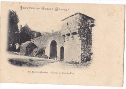 Série SOUVENIR DU BOCAGE VENDEEN. -  Les Epesses- Ruines Du Puy Du Fou. Carte RARE - Altri Comuni