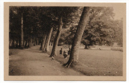 SAINT HONORE LES BAINS--1953--Allée Du Parc (animée) éd Goury---pas Très Courante - Saint-Honoré-les-Bains