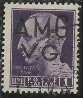 VENEZIA GIULIA 1945 - 1947 TRIESTE AMGVG AMG VG POSTA ORDINARIA LIRE 1 LIRA USATO USED OBLITERE' - Oblitérés