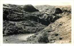 249039-North Dakota, Dickinson, RPPC, Scenic View, Theodore Roosevelt National Park? Presthus Photo - Other & Unclassified